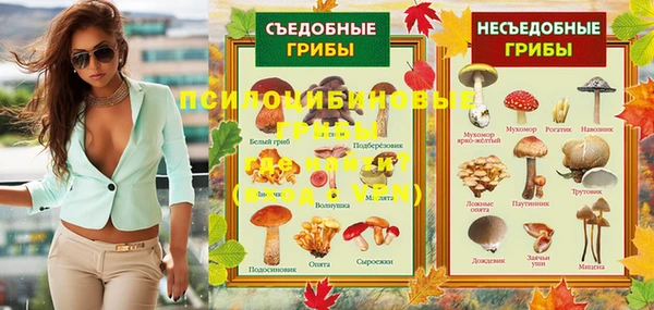 стафф Заволжье