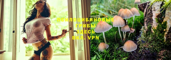 амфетамин Заводоуковск