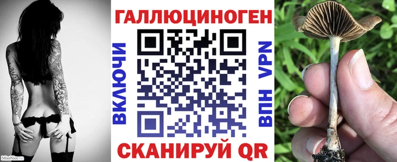 купить наркоту  Южа  МЕГА ТОР  Псилоцибиновые грибы Psilocybine cubensis 